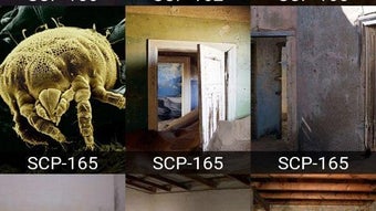 Изображение 0 для 