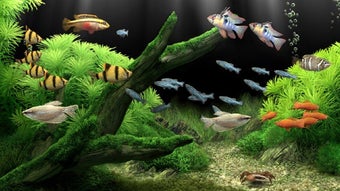 Dream Aquarium Screensaver