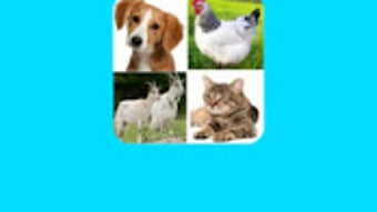 รูปภาพ 0 สำหรับ 