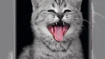 الصورة 0 لـ 