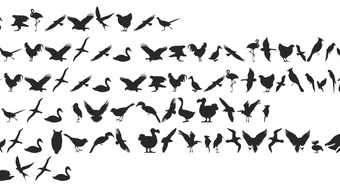 Изображение 0 для 