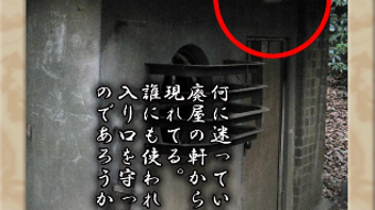 の画像0
