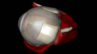  için 0 numaralı resim