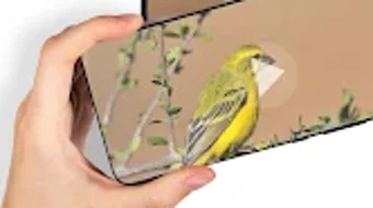 الصورة 0 لـ 