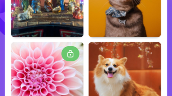 รูปภาพ 0 สำหรับ 