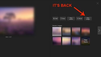 View Image button for Google Images™