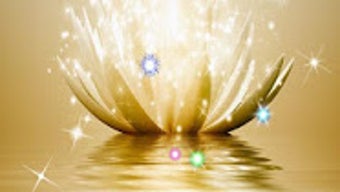 รูปภาพ 0 สำหรับ 