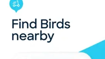Bird — Ride Electric