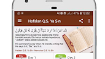 الصورة 0 لـ 