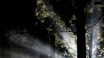 Imagem 0 para 