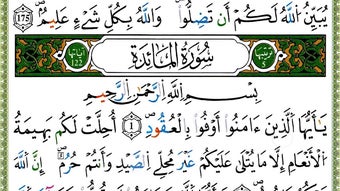 الصورة 0 لـ 