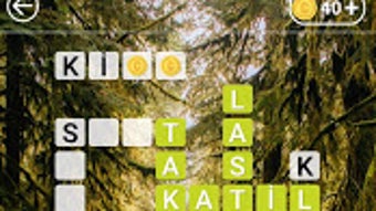  için 0 numaralı resim