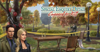 Special Enquiry Detail
