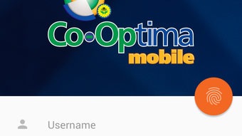 Obraz 0 dla 