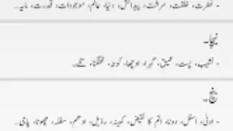 Offline Urdu Dictionary