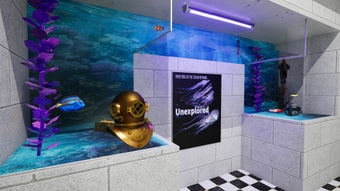  için 0 numaralı resim