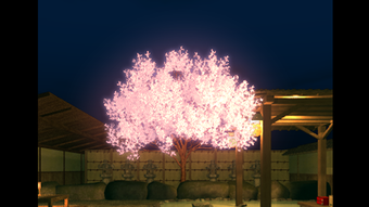 の画像0