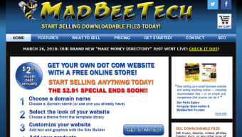 MadBeeTech Web Hosting