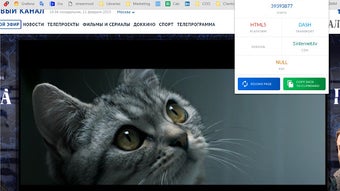 の画像0