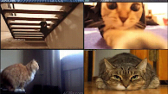 รูปภาพ 0 สำหรับ 