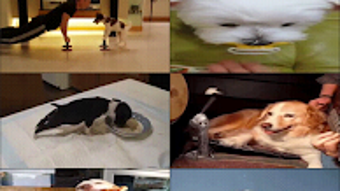  için 0 numaralı resim