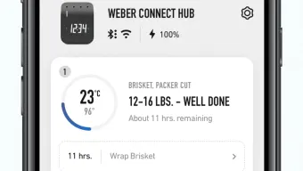 Weber Connect