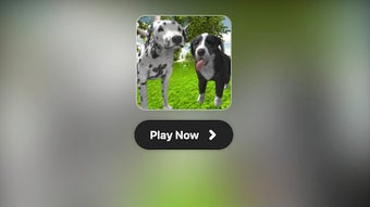 Dog Simulator 3D Game