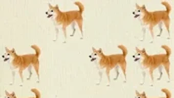 の画像0