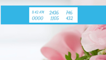 รูปภาพ 0 สำหรับ 