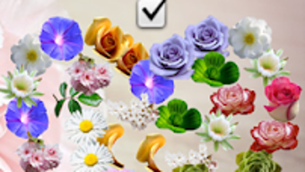  için 0 numaralı resim