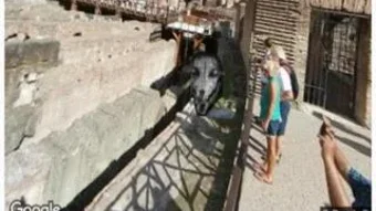Imagem 0 para 