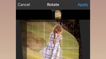 の画像0