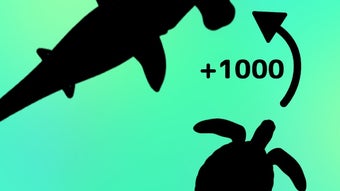 Bild 0 för 