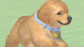 わんこと私 - 子犬のペット育成ゲーム