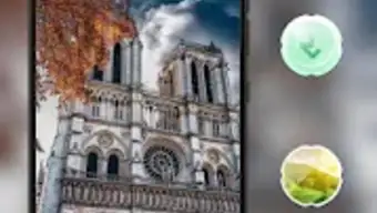 Beautiful moment of Notre Dame