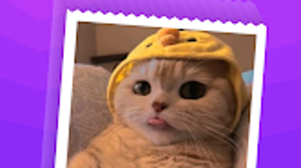 の画像0