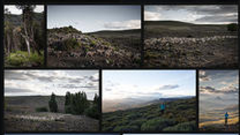 Adobe Lightroom Photo Editor