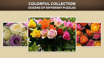 รูปภาพ 0 สำหรับ 