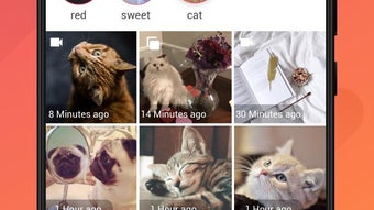 รูปภาพ 0 สำหรับ 