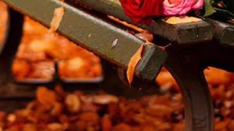  için 0 numaralı resim