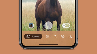 Horse Scanner