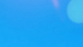 의 이미지 0