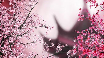 的第0张图片