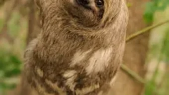 の画像0