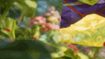 Imagem 0 para 