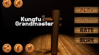 Kung fu Grandmaster