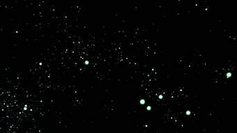 Image 0 for 