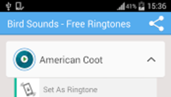 Bird Sounds - Free Ringtones