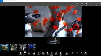 Изображение 0 для 