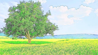 の画像0